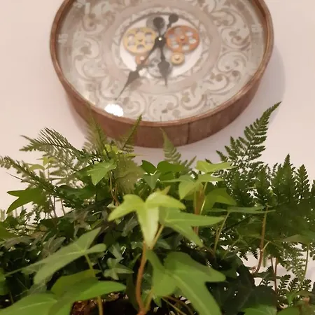 Panzió Donna Lucrezia Dimora A Corte