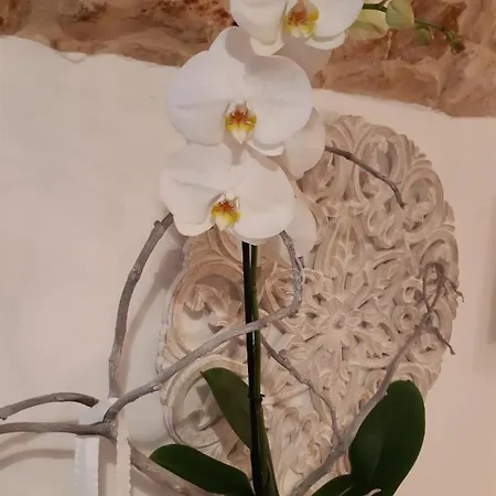 Bed & Breakfast Donna Lucrezia Dimora A Corte 3*