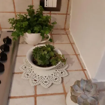 Donna Lucrezia Dimora A Corte 3*