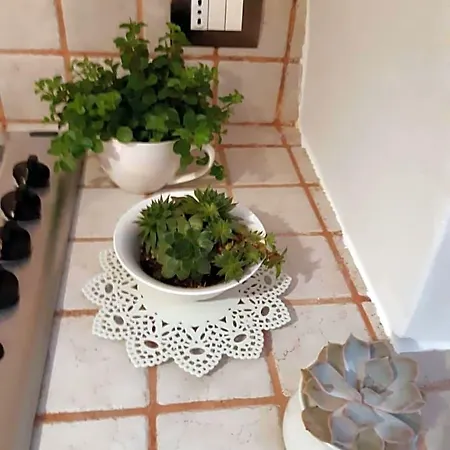 Donna Lucrezia Dimora A Corte Conversano