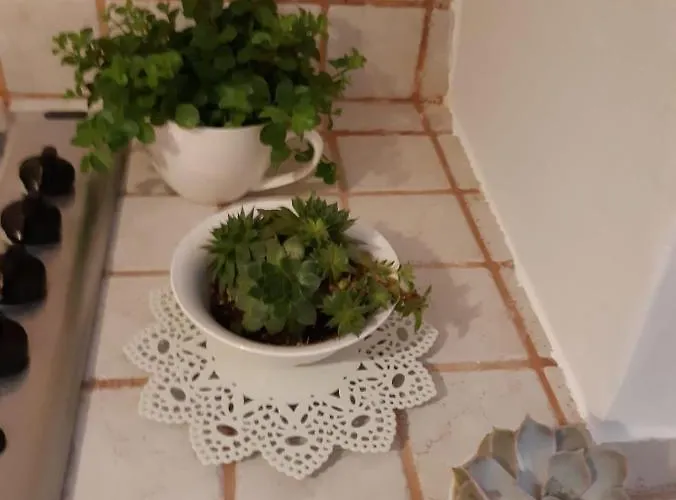 Donna Lucrezia Dimora A Corte 3*